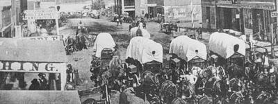 Black and white photo of covered wagons