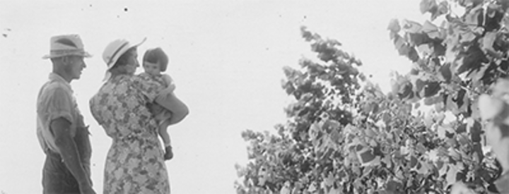Promotional image for Prairie States Forestry Project Digital Archive.