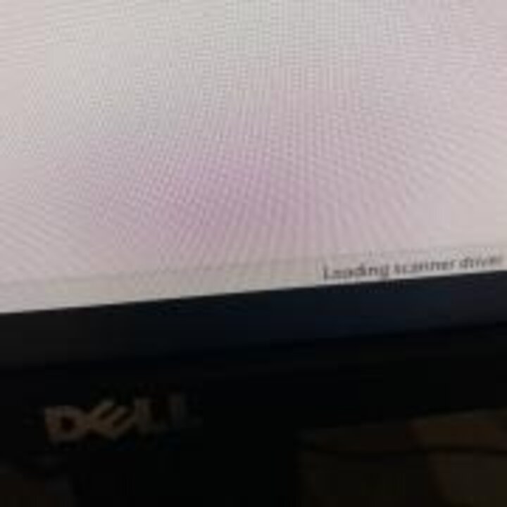 Screen capture showing blank screen with "Loading scanner driver" notice.